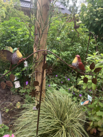 Tuinsteker vogeltjes en takjes