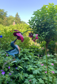 Bloem met fantasie kolibri
