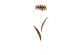 Bromelia 3D