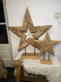 Kerst ster Teakhout