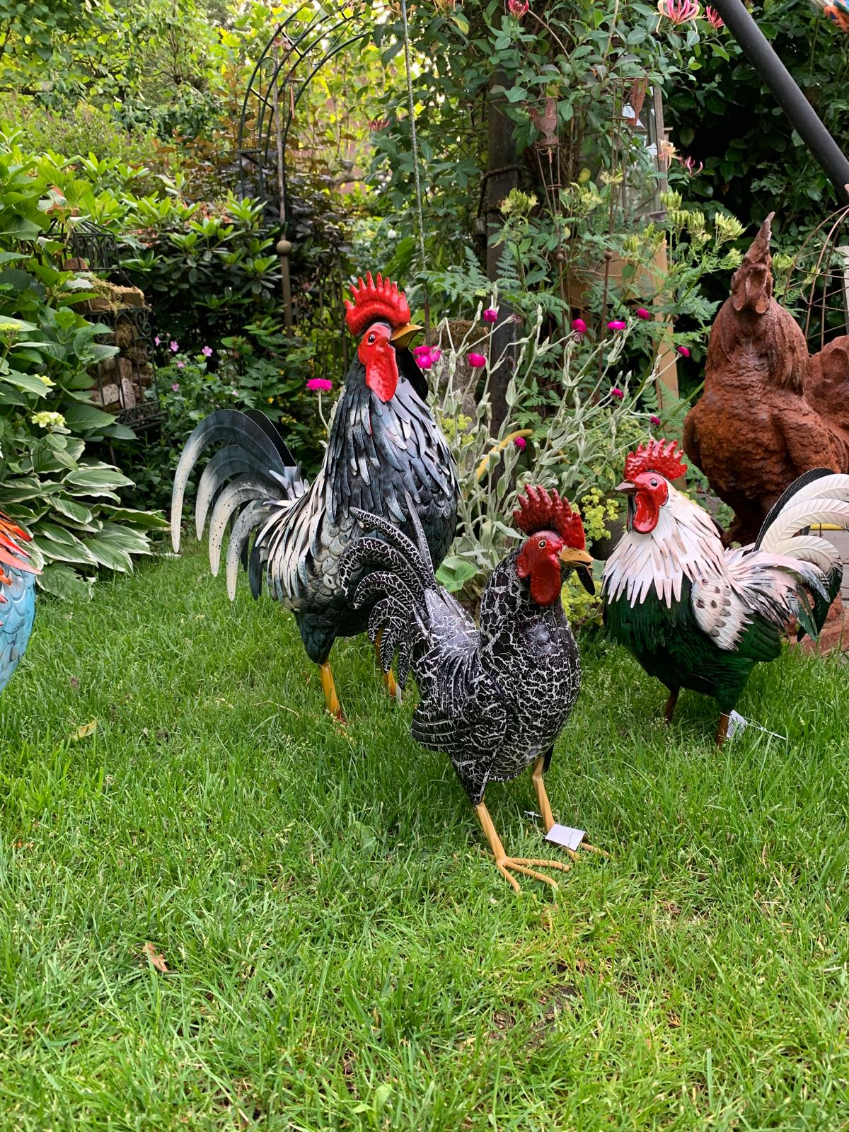 Haan/ hen van metaal