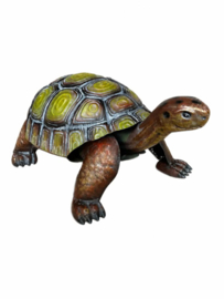 Metalen schildpad in kleur