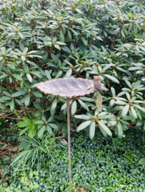 Vogelbad op pin