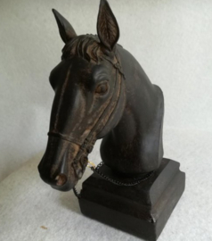 Paardenhoofd met halster