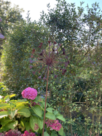 Bloem roest