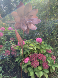 Dahlia tuinsteker  3D