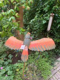 Tuinsteker snuitvogel