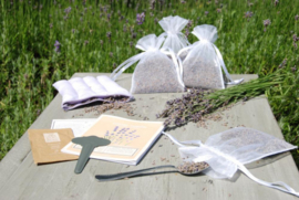 Lavendel kweek en geurset in cadeauverpakking