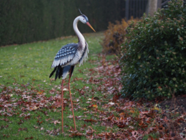 Reiger