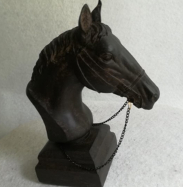 Paardenhoofd met halster