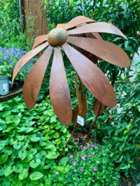 Tuinsteker bloem zonnehoed