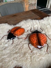 Lieveheersbeestje