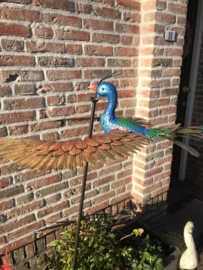 Tuinsteker Pauw