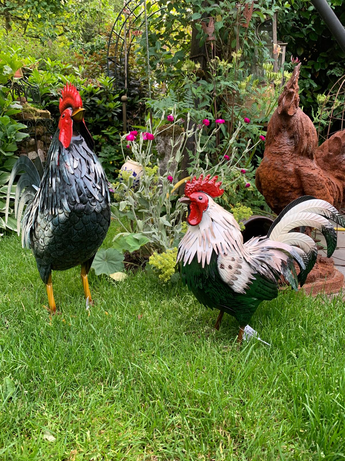 Haan/ hen van metaal