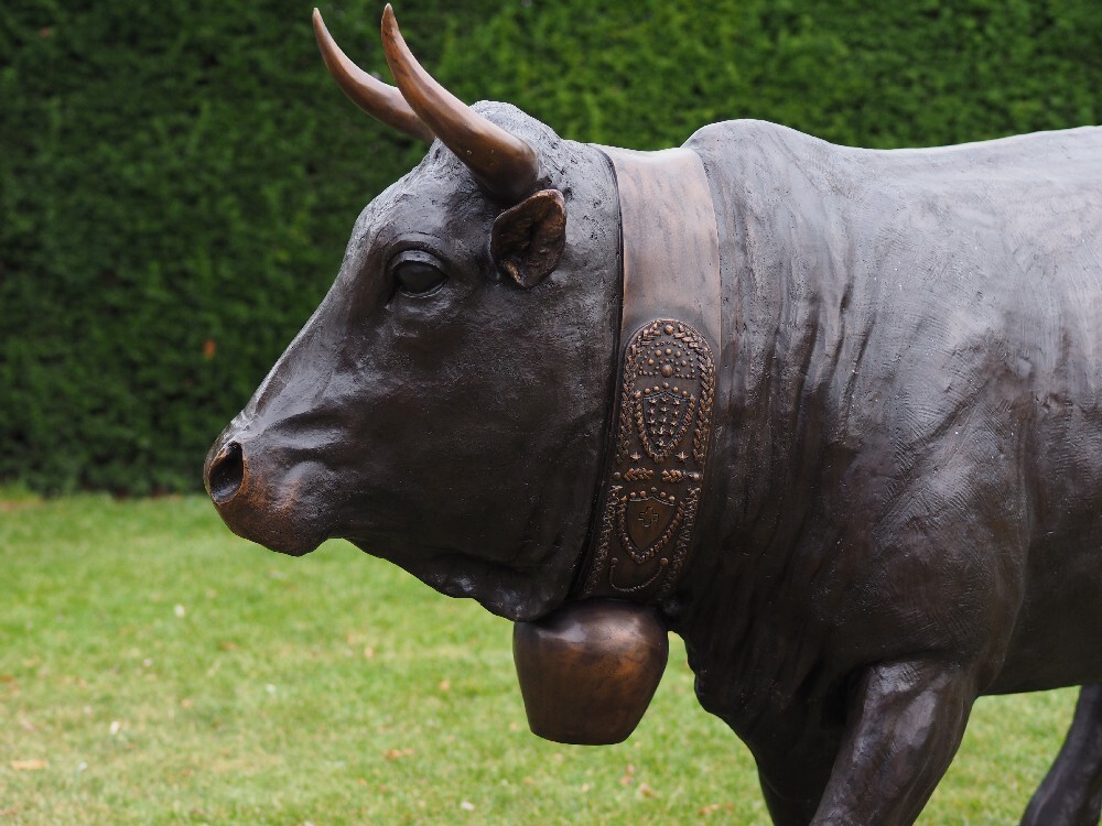 Stier