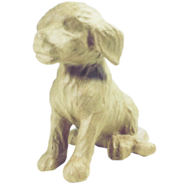 Hond, SA111