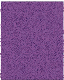 550-A3