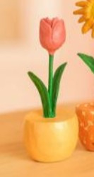 Tulp, HD104
