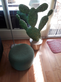 Cactus,  compleet gepimpt, XLA34