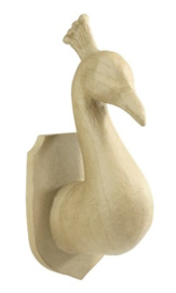 Pauw, MA029