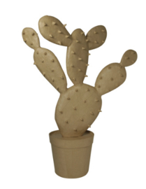 Cactus, XLA34