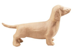 Hond, Teckel, SA189