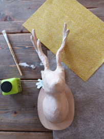 Rendier, trofee NOo38 DIY pakket