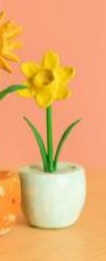 Narcis, HD102
