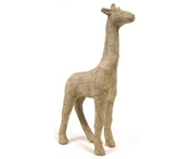 Giraffe, AP608