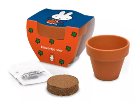 Nijntje "Klavertje vier" terra cotta potje