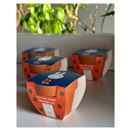 Nijntje "Klavertje vier" terra cotta potje