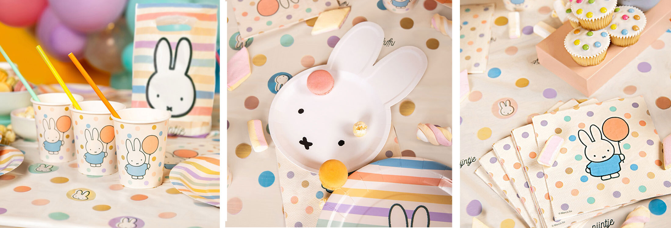 Nijntje feestversiering