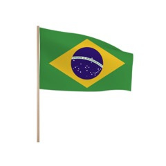 Zwaaivlaggetjes Brazilie