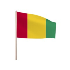 Zwaaivlaggetjes GUINEE