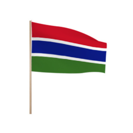 Zwaaivlaggetjes Gambia