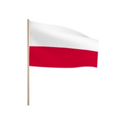 Zwaaivlaggetjes Polen