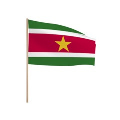 Zwaaivlaggetjes Suriname