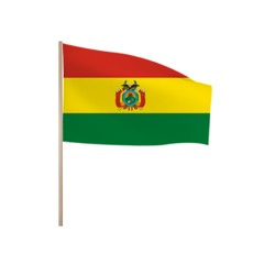Zwaaivlaggetjes Bolivia