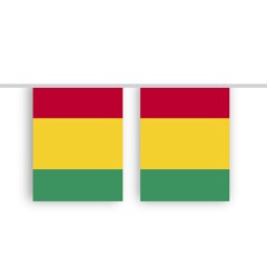 Vlaggenlijn GUINEE