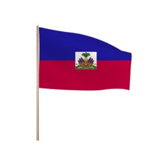 Zwaaivlaggetjes HAITI
