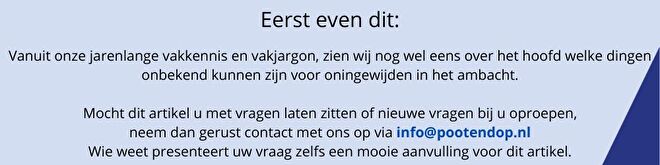 Kanttekening bij dit artikel