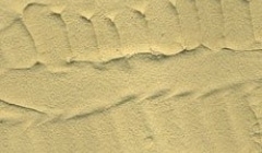 Vallejo 26.217 Desert Sand