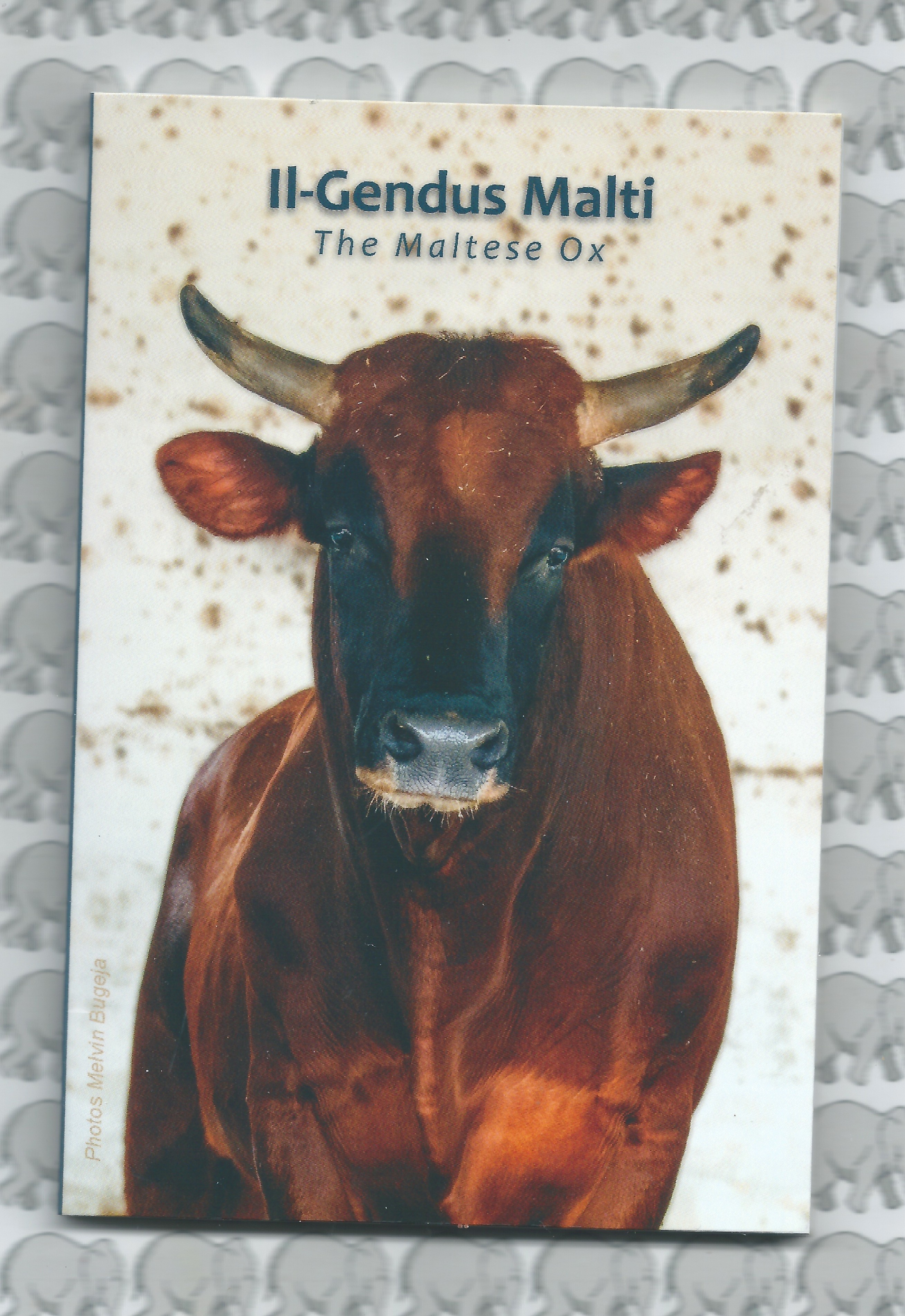 Malta 2 euromunt CC 2025 (31e) "Maltese os" coincard in blister