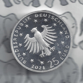 Duitsland 25 euromunt 2021 "Kerstmis - de geboorte van Jezus", zilver