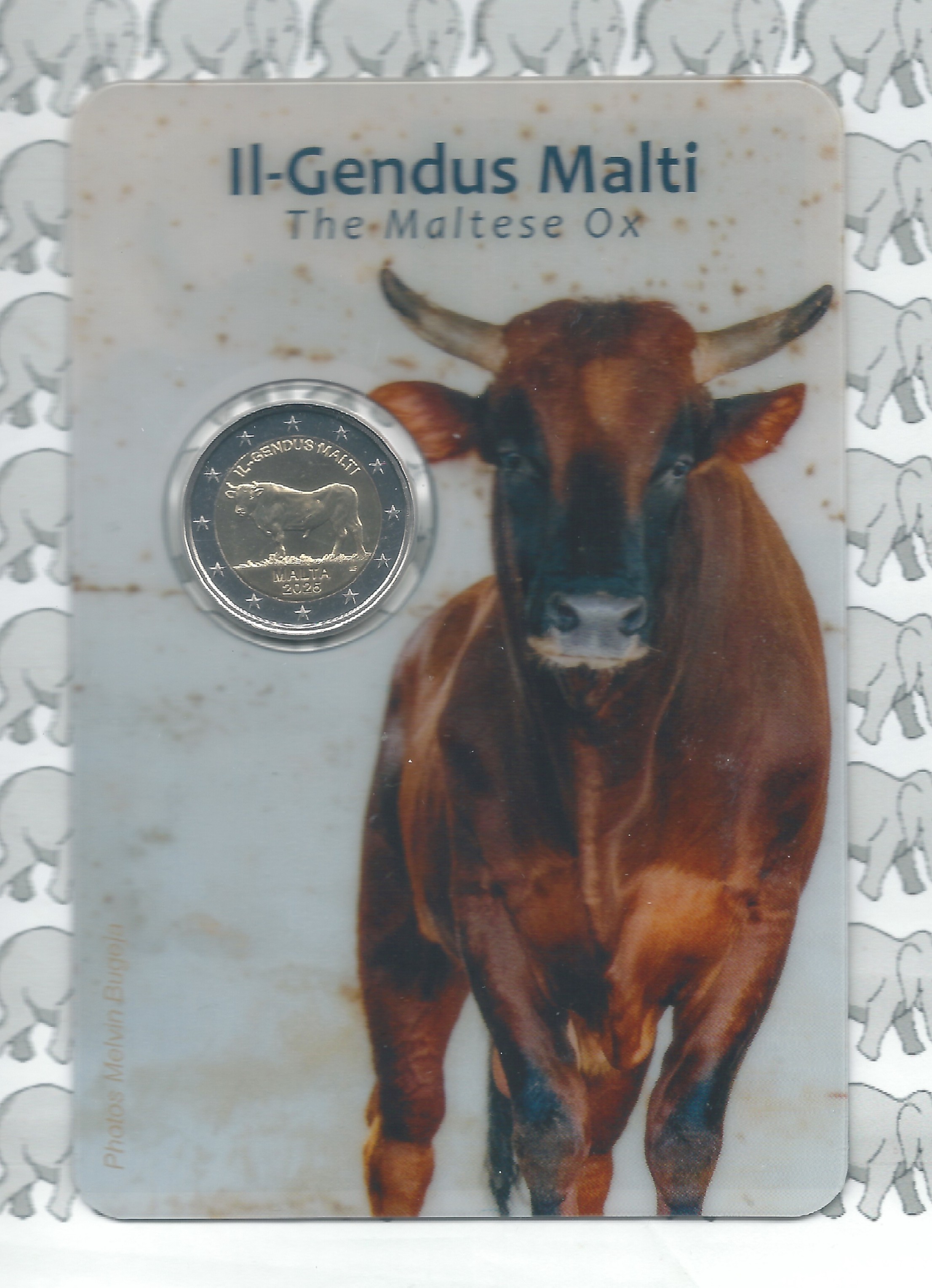 Malta 2 euromunt CC 2025 (31e) "Maltese os" coincard in blister
