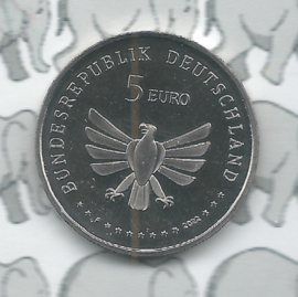 Duitsland 5 euromunt 2023 "Rosse metselbij" (4 van 9)