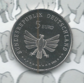 Duitsland 5 euromunt 2024 "Sprinkhaan" (6 van 9)