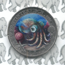Oostenrijk 3 euromunt 2024 "Hawaiiaanse Bobtail-inktvis" (8 van 12)