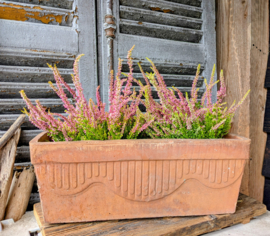 Terracotta bloembak.