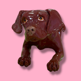 Je eigen hond als beeld (VOORBEELD)